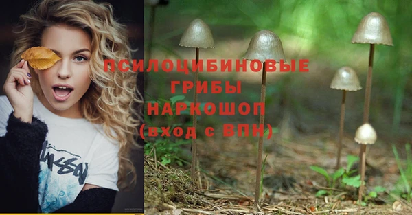 спайс Мегион