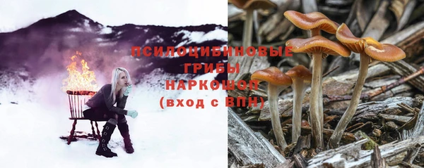 спайс Мегион