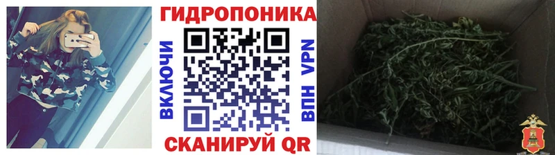 MEGA   Усмань  Бошки Шишки план 